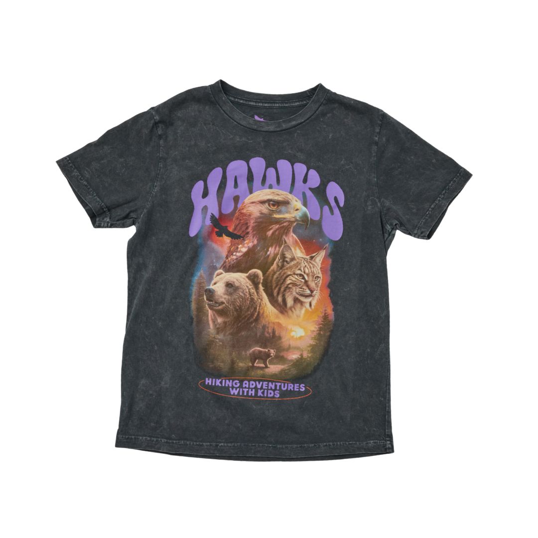 HAWKs After Dark Tee Kids - Graphite