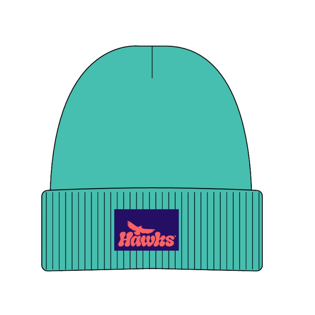 The Trailblazer Beanie - Lagoon